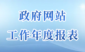 政府網(wǎng)站工作年度報表